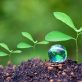 4-critical-steps-to-embed-sustainability-into-your-organization