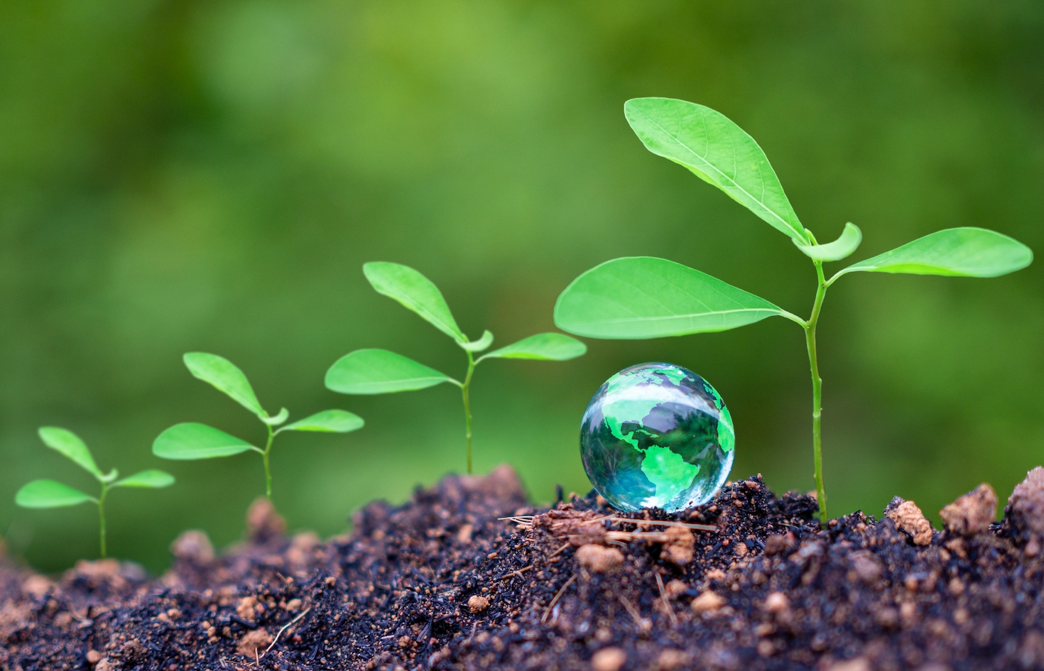 4-critical-steps-to-embed-sustainability-into-your-organization