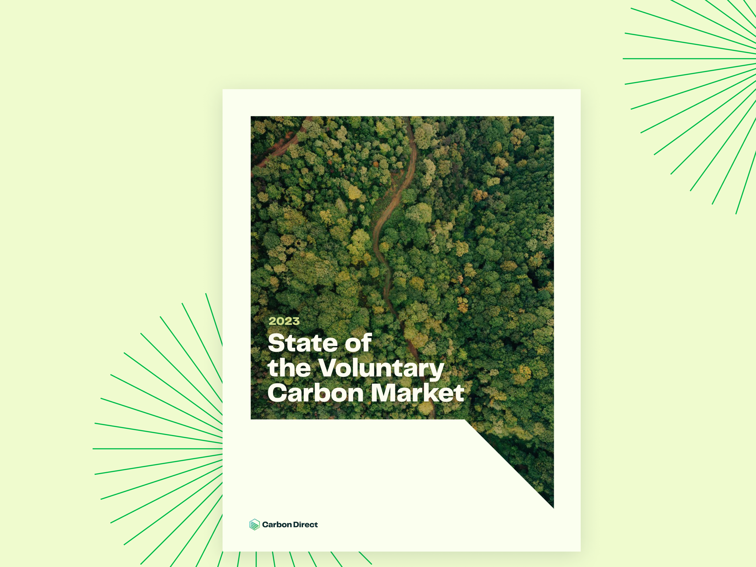 the-state-of-the-voluntary-carbon-market