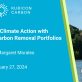 accelerating-climate-action-with-diversified-carbon-removal-portfolios