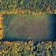 the-newest-biodiversity-reporting-standard:-what-you-should-know