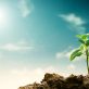 simplifying-sustainability:-4-concepts-to-power-our-purpose