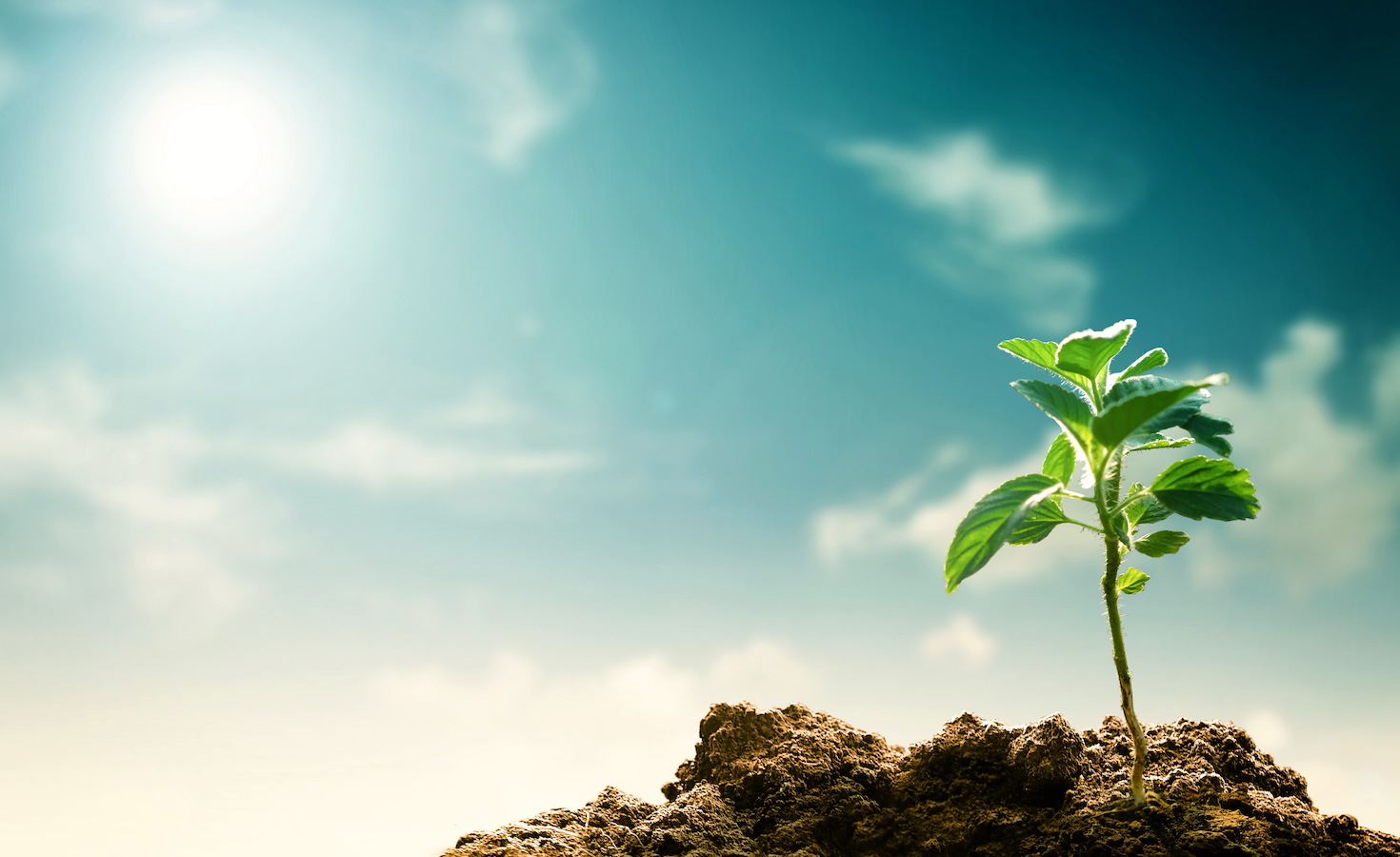 simplifying-sustainability:-4-concepts-to-power-our-purpose