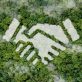 the-multiplier-effect:-5-tips-to-create-effective-partnerships