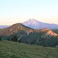 defend-and-restore-oregon’s-climate-protection-program