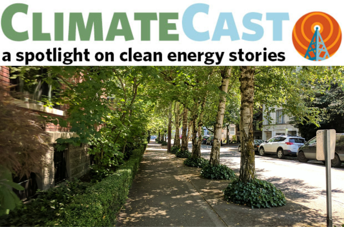 cutting-the-high-cost-of-urban-shade