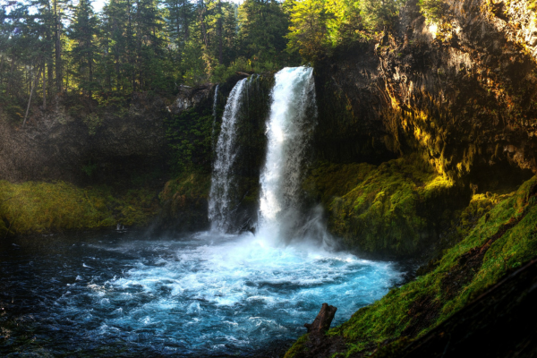 oregon-is-worth-defending!-submit-public-comment-for-the-climate-protection-program-today