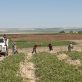 time-to-speak-up-for-oregon’s-farmworkers!