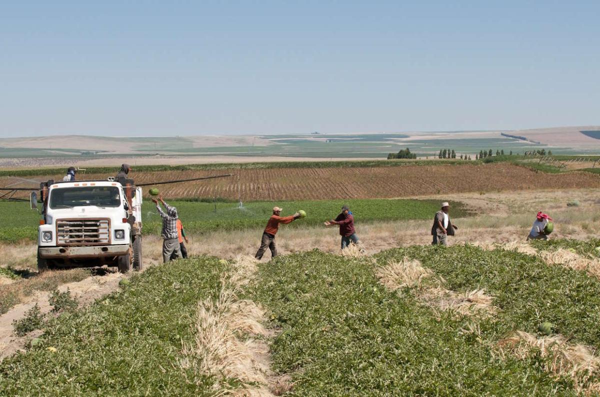 time-to-speak-up-for-oregon’s-farmworkers!