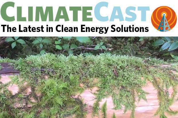 reasons-for-gratitude-in-the-clean-energy-northwest