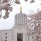climate-solutions’-2025-oregon-legislative-agenda