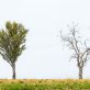overcoming-the-challenges-of-sustainability’s-dual-identity