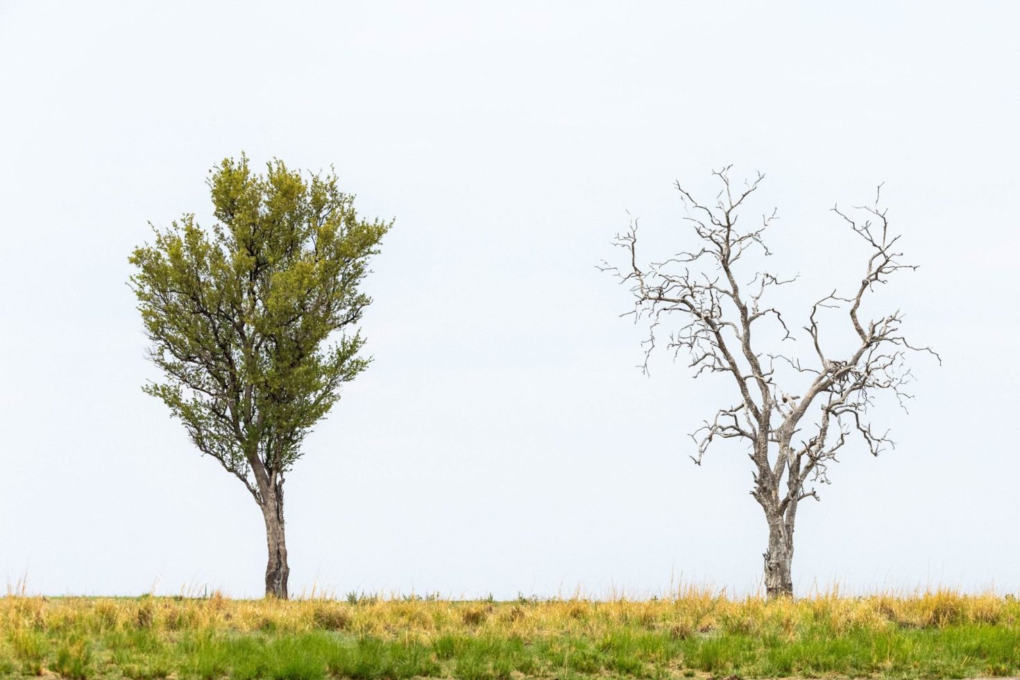 overcoming-the-challenges-of-sustainability’s-dual-identity