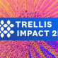 introducing-trellis-impact-25-to-usher-in-the-next-phase-of-sustainability