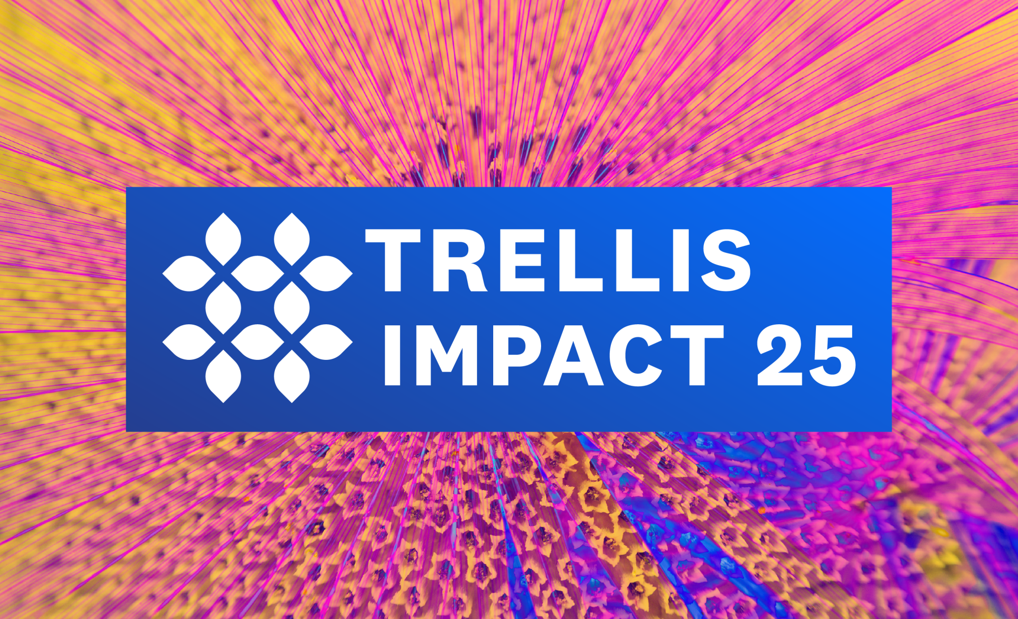 introducing-trellis-impact-25-to-usher-in-the-next-phase-of-sustainability