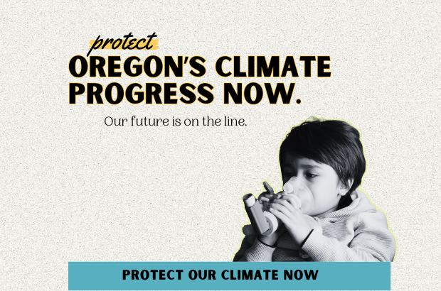 show-up-in-person-to-urge-legislators-to-invest-in-climate-and-affordability