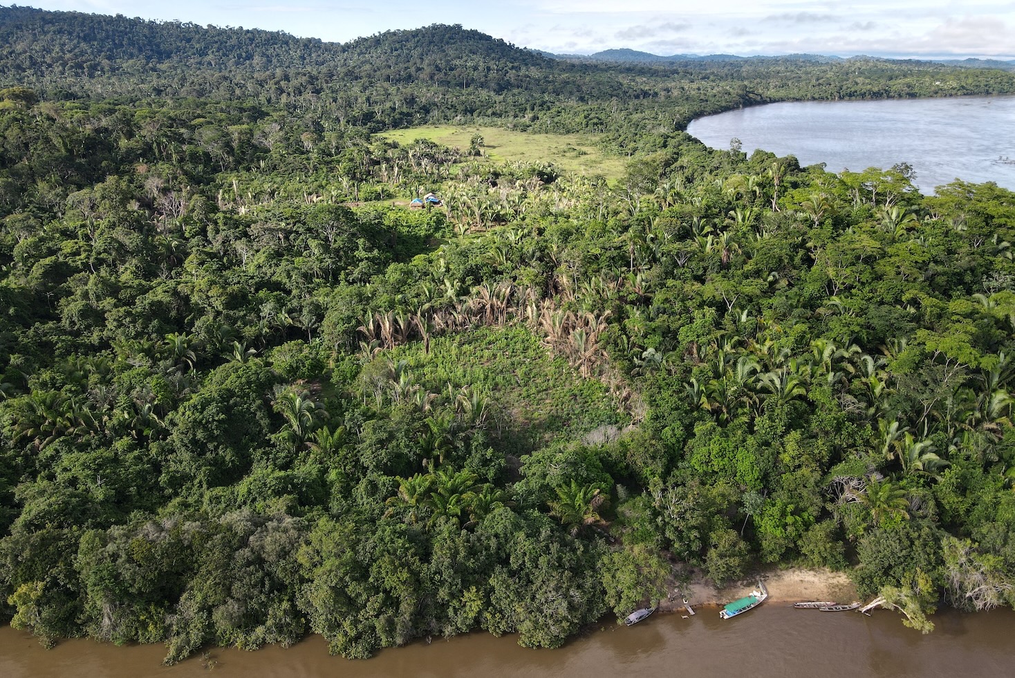 amazon-now-sells-carbon-credits.-here’s-what-you-need-to-know