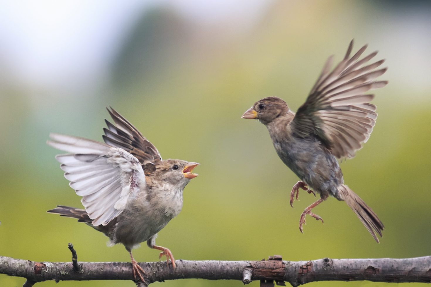 fight-or-flight?-the-most-powerful-response-is-making-the-business-case-for-sustainability  