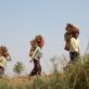 new-un-carbon-credit-mechanism-okays-first-credits-—-and-highlights-flaws