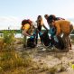 looking-for-a-job?-find-your-community-first
