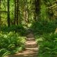 how-meta’s-latest-forest-credits-purchase-gets-it-closer-to-net-zero