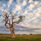 for-effective-green-investing,-go-brown