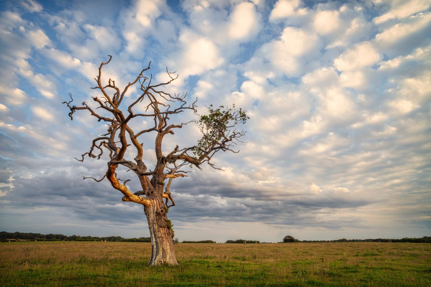 for-effective-green-investing,-go-brown