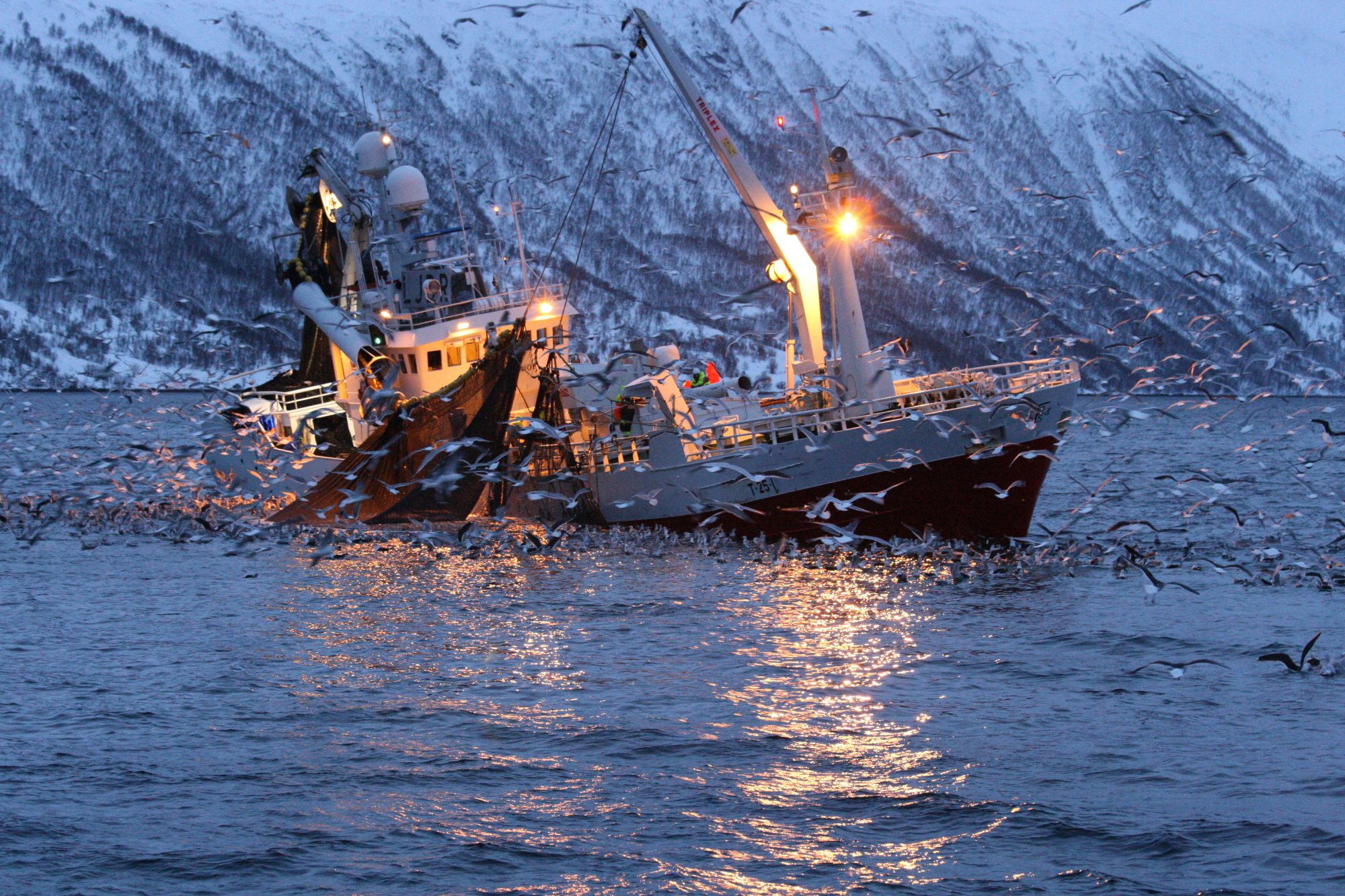 the-first-science-based-targets-for-oceans-are-out.-here’s-what-you-should-know