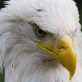 why-is-trump-coming-after-washington-and-oregon?-because-our-efforts-are-working
