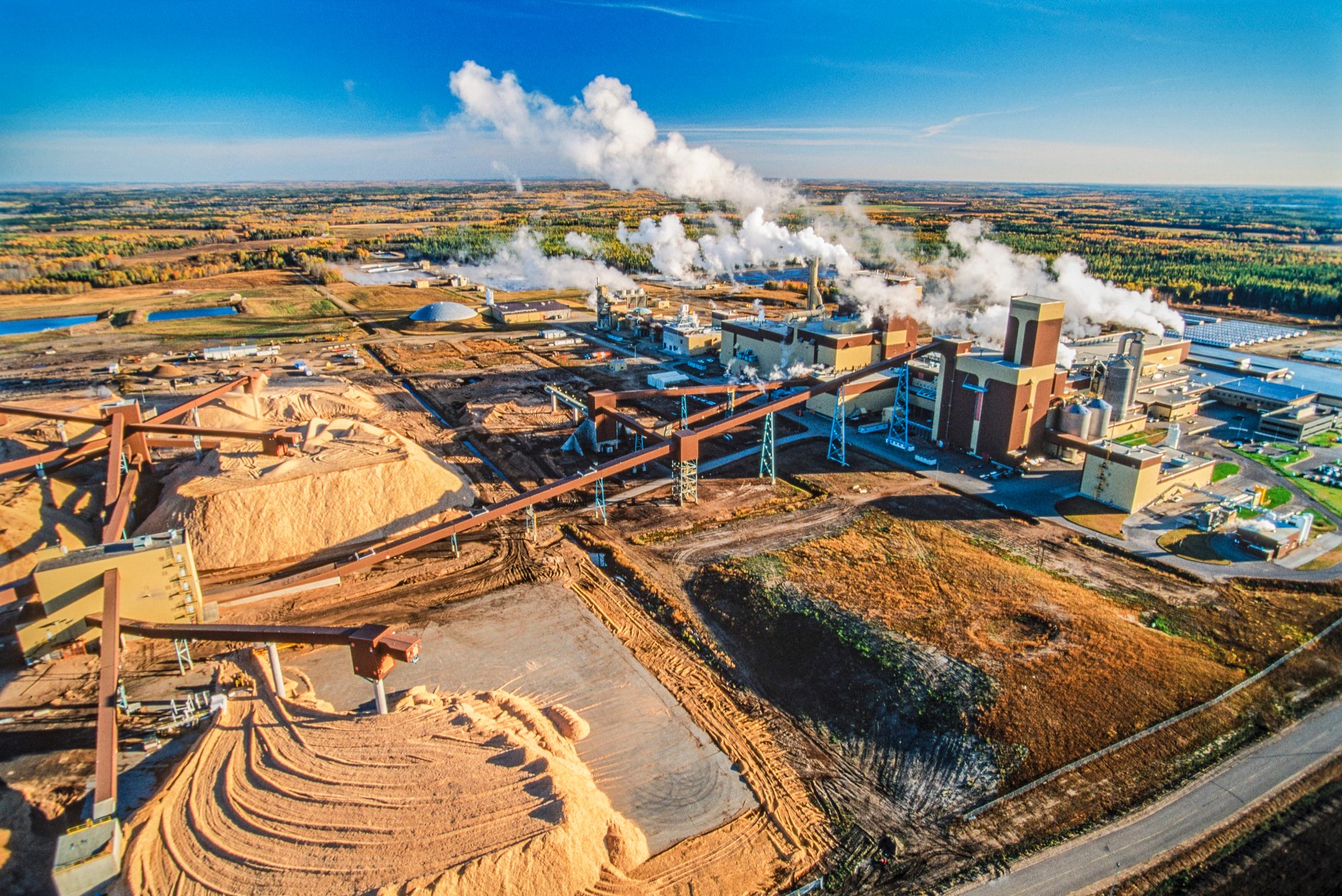 why-microsoft-is-buying-carbon-credits-from-a-pulp-and-paper-mill