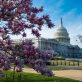 corporate-climate-policy-still-works:-4-lessons-from-100-meetings-on-capitol-hill-in-march