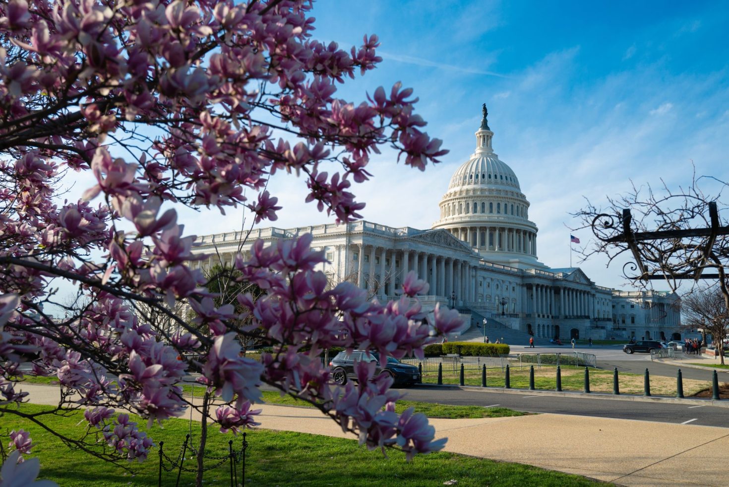 corporate-climate-policy-still-works:-4-lessons-from-100-meetings-on-capitol-hill-in-march