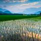 $50-million-xprize-winner-wants-to-help-smallholder-farmers
