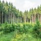 proposed-code-allows-for-use-of-carbon-credits-to-address-scope-3-emissions