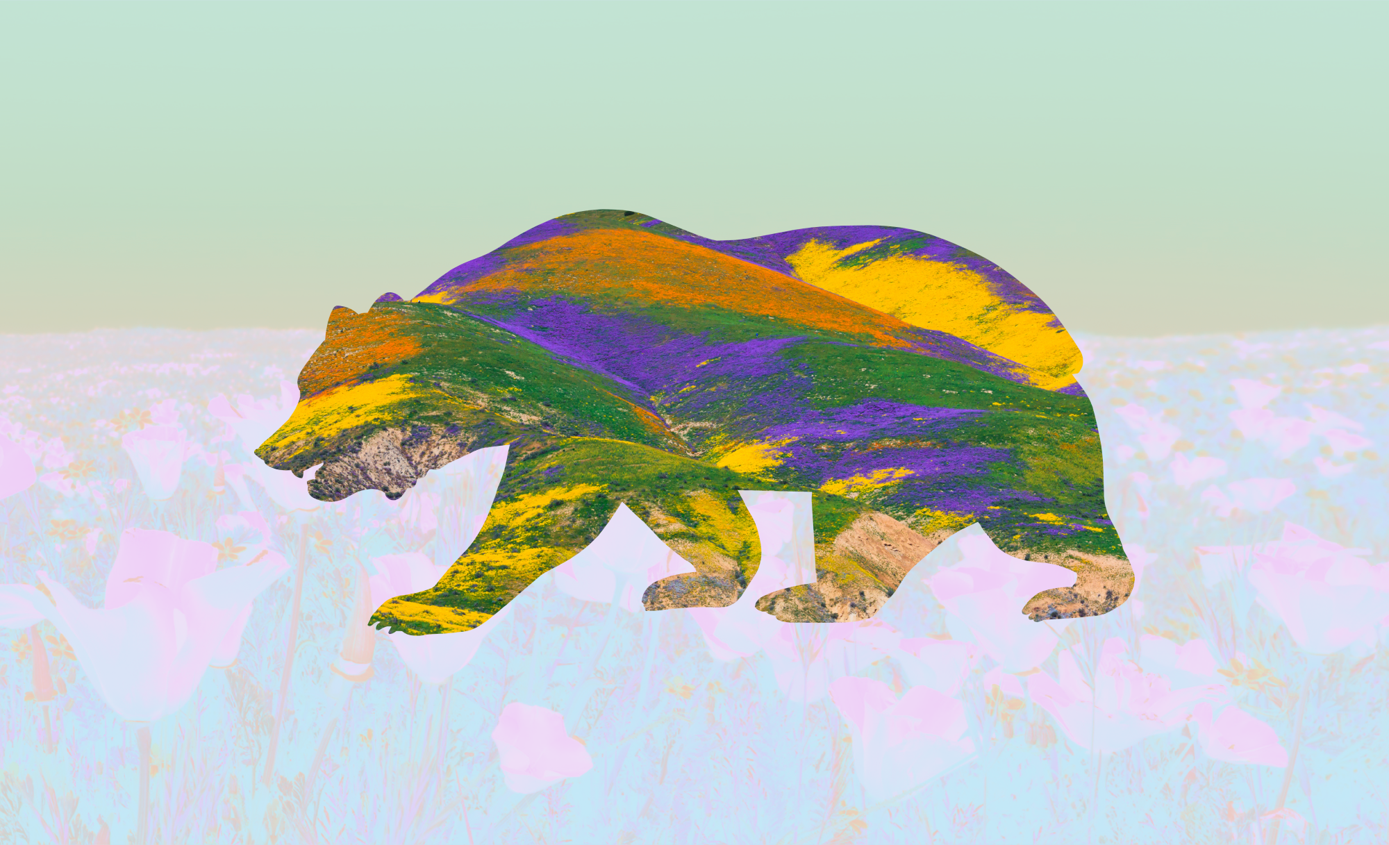 don’t-make-us-duplicate-disclosures,-companies-tell-california-regulators 