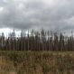 how-to-effectively-respond-to-environmental-rollbacks