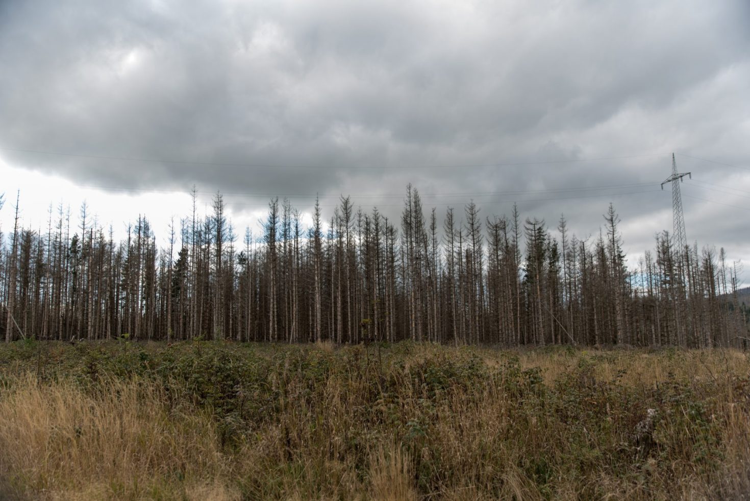 how-to-effectively-respond-to-environmental-rollbacks