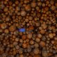eu-simplifies-reporting-requirements-for-deforestation-regulation