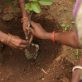 renewable-energy’s-scale-up-provides-a-blueprint-for-carbon-removal