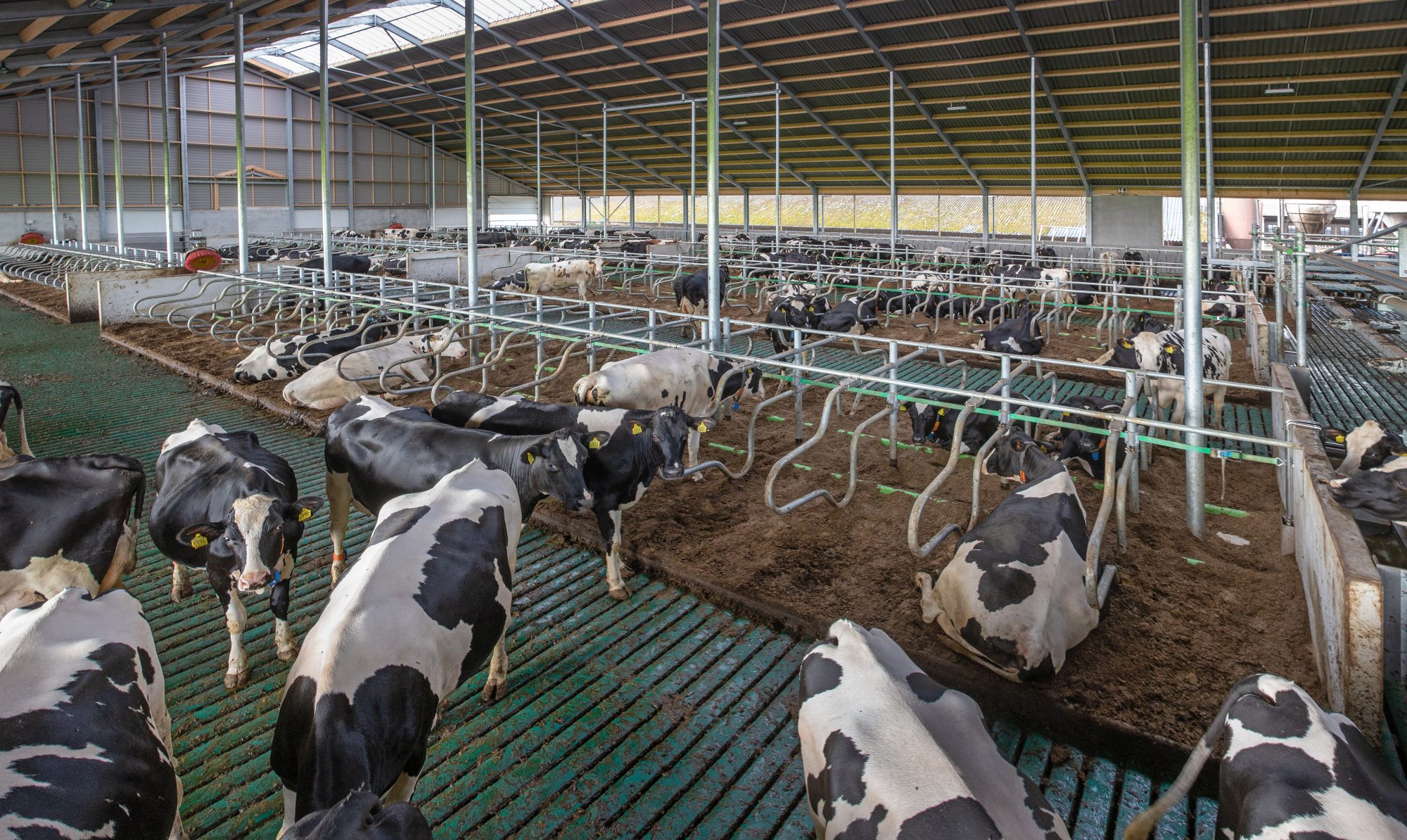 companies-behind-dairy-industry’s-first-methane-targets-show-early-success