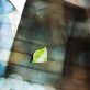 is-a-corporate-sustainability-career-right-for-you?-ask-yourself-these-6-questions