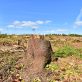 first-24-bezos-earth-fund-ai-grantees-tackle-food-waste,-carbon-removal-and-more
