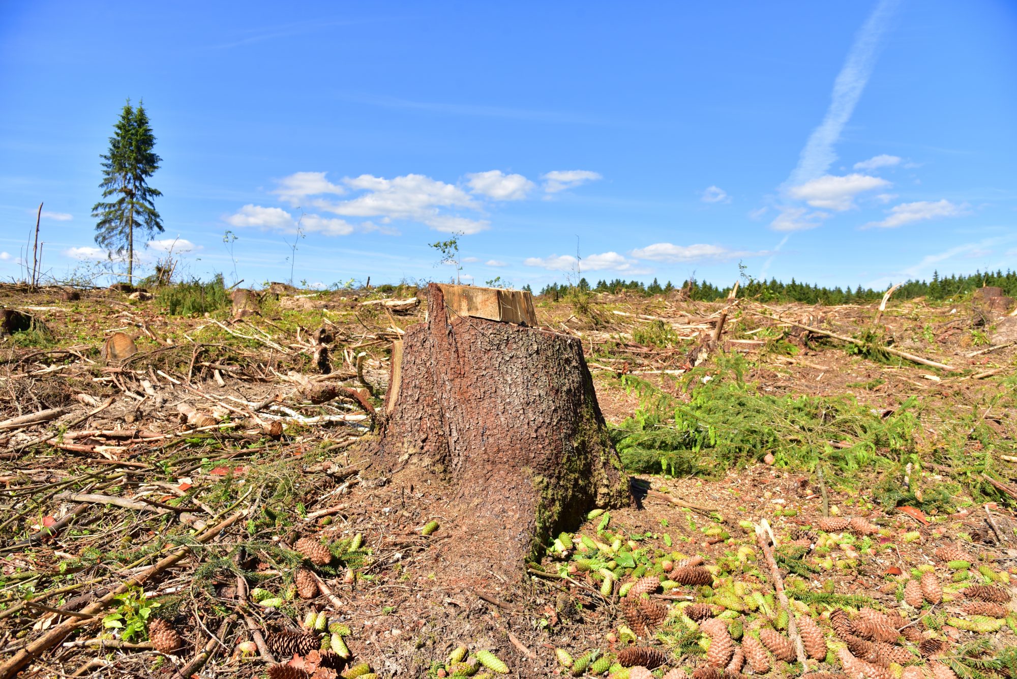 first-24-bezos-earth-fund-ai-grantees-tackle-food-waste,-carbon-removal-and-more