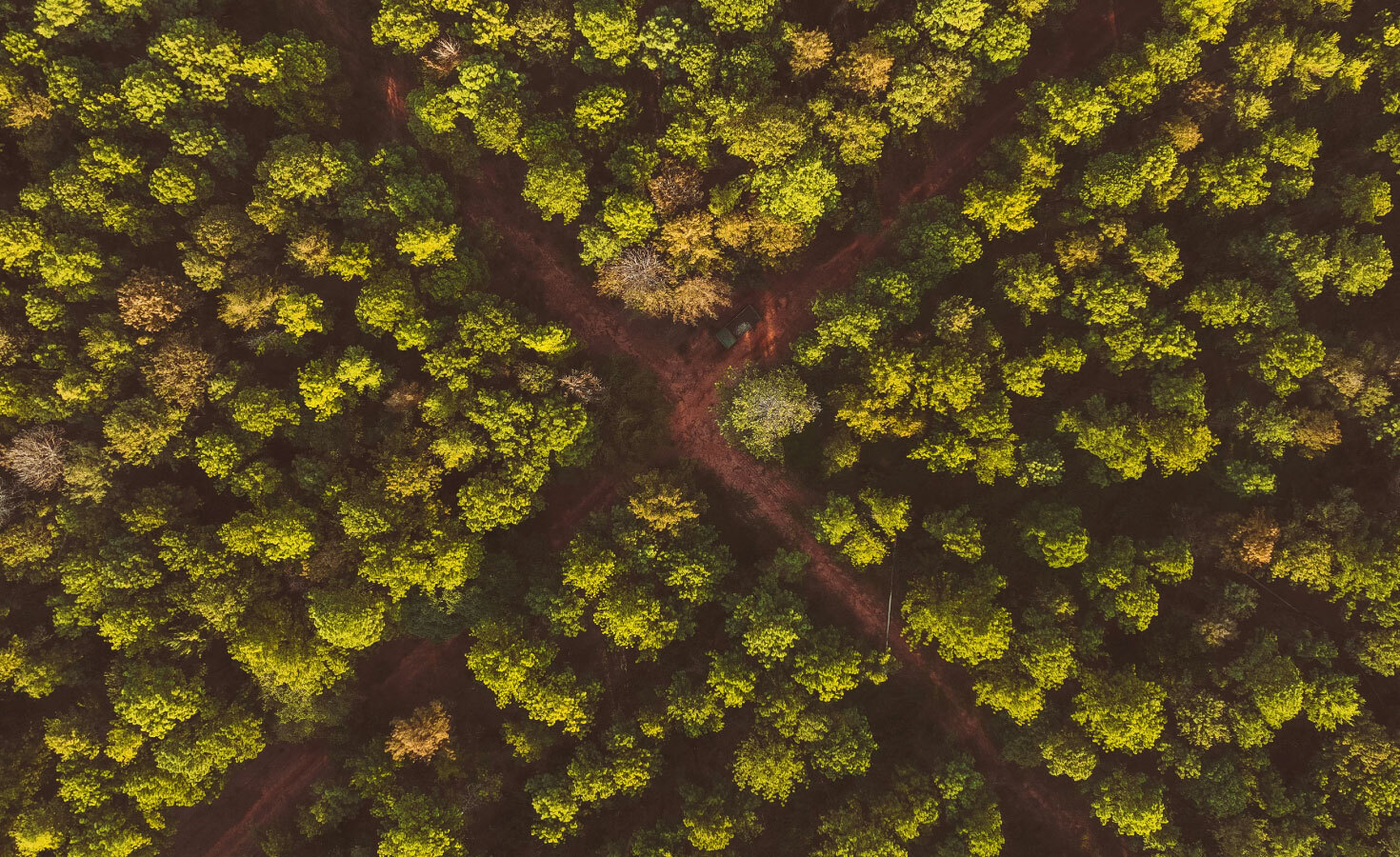 4-trajectories-and-5-shifts-to-help-sharpen-your-company’s-sustainability-path 