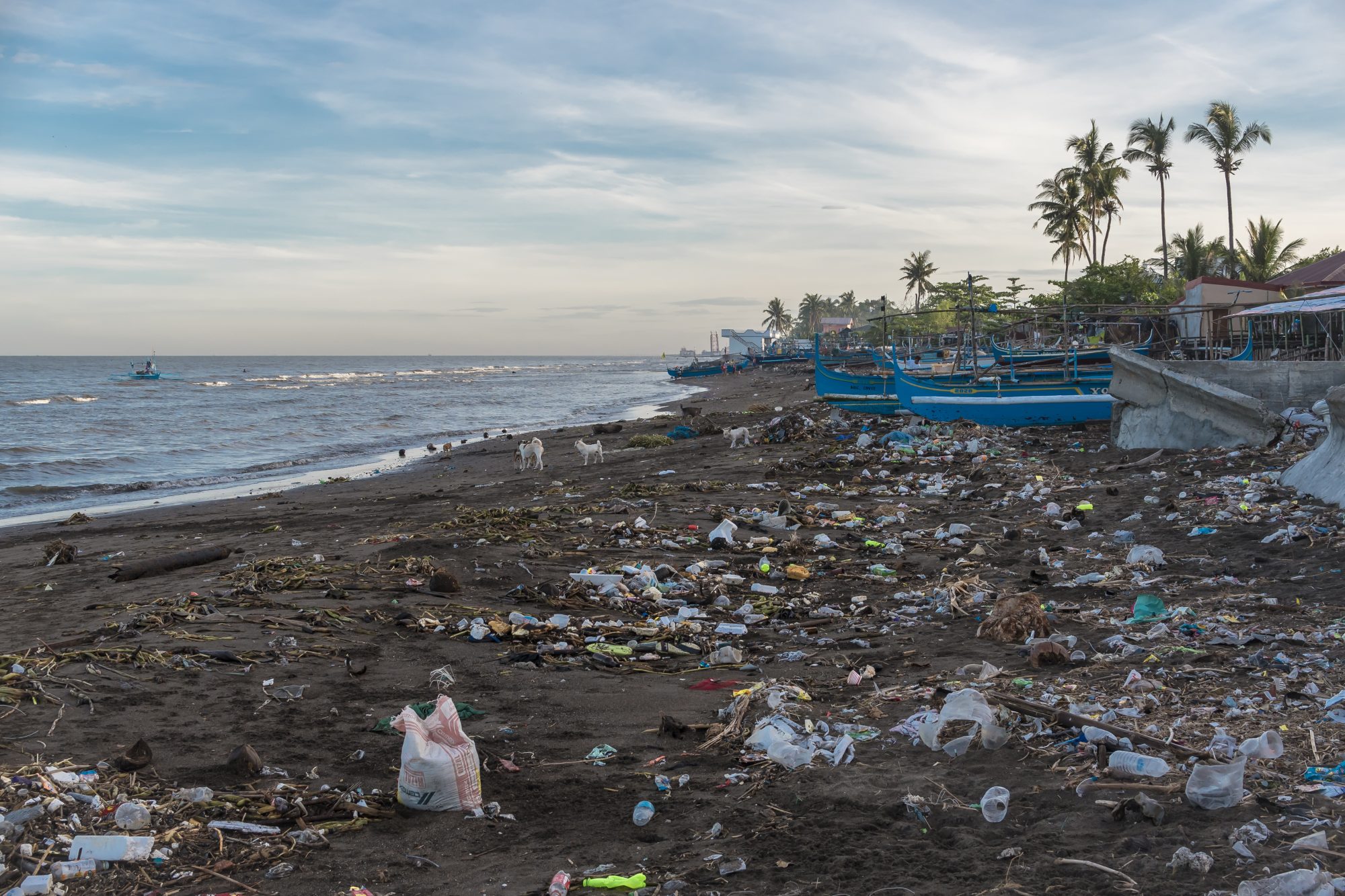 growing-in-use,-plastic-credits-face-rising-criticism