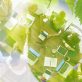 4-leadership-tips-to-start-a-sustainability-career-in-2025
