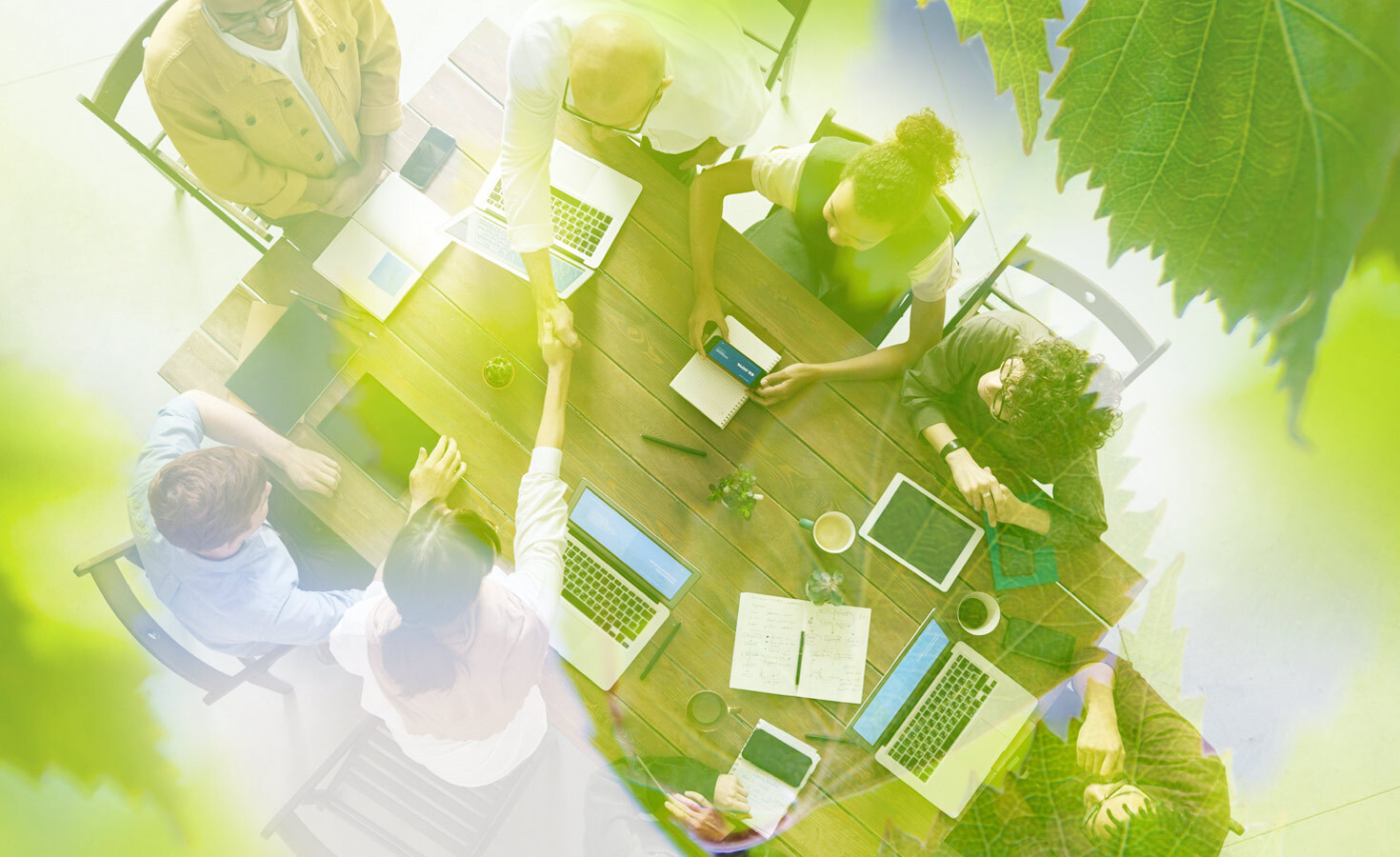 4-leadership-tips-to-start-a-sustainability-career-in-2025