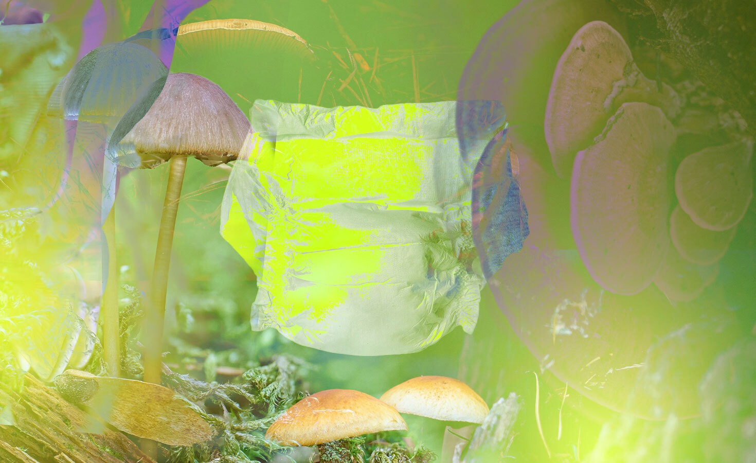the-unrealized-promise-of-circular-diapers