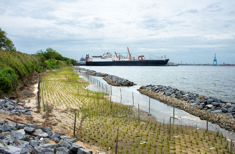 why-norfolk-southern-restored-a-1,500-foot-stretch-of-virginia-shoreline