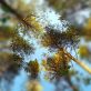 is-sustainability-consulting-right-for-you?-ask-yourself-these-7-questions